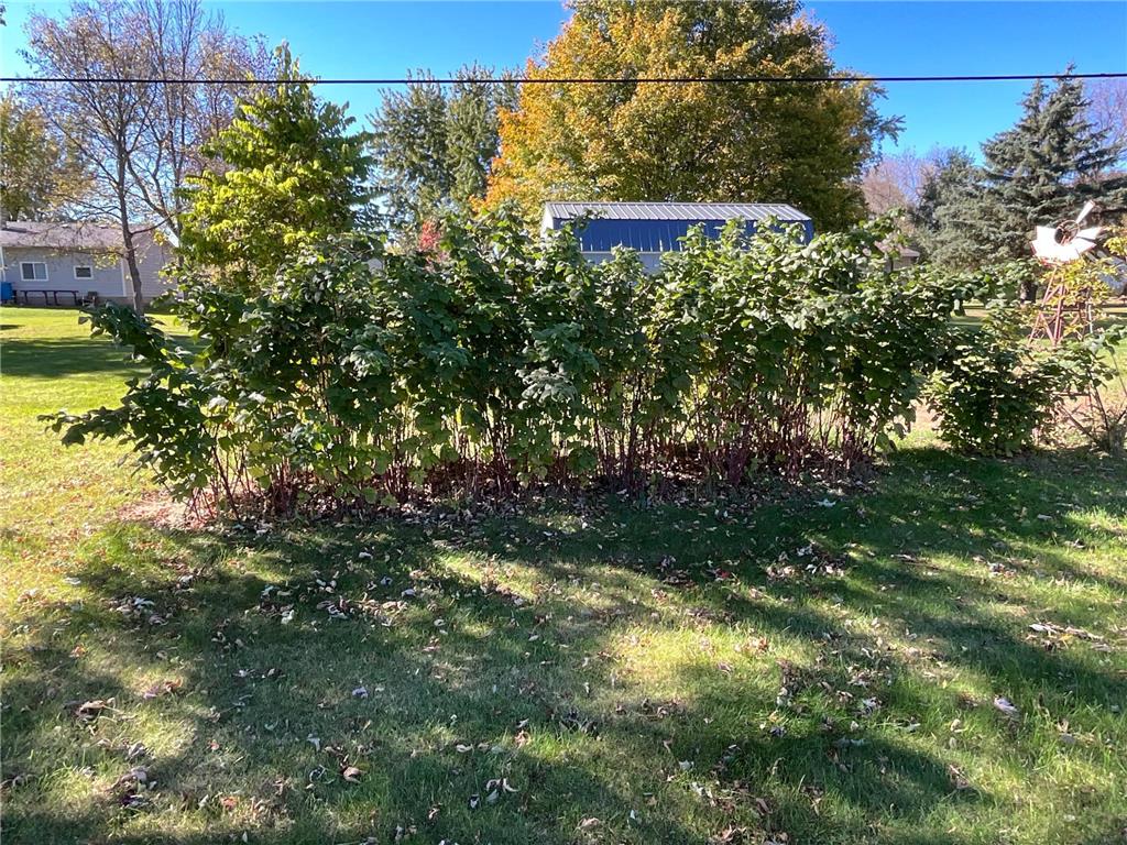 161 Lincoln Avenue Villard MN 56385 6805190 image26