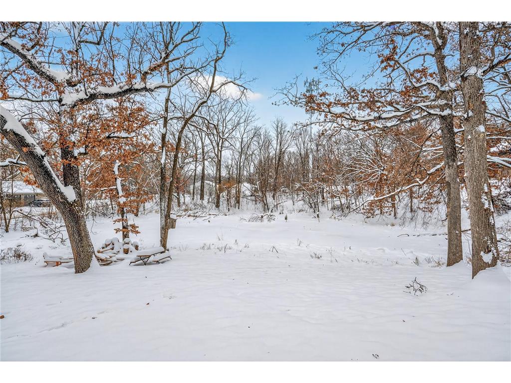 1610 Briarwood Avenue Mahtomedi MN 55115 7014361 image44