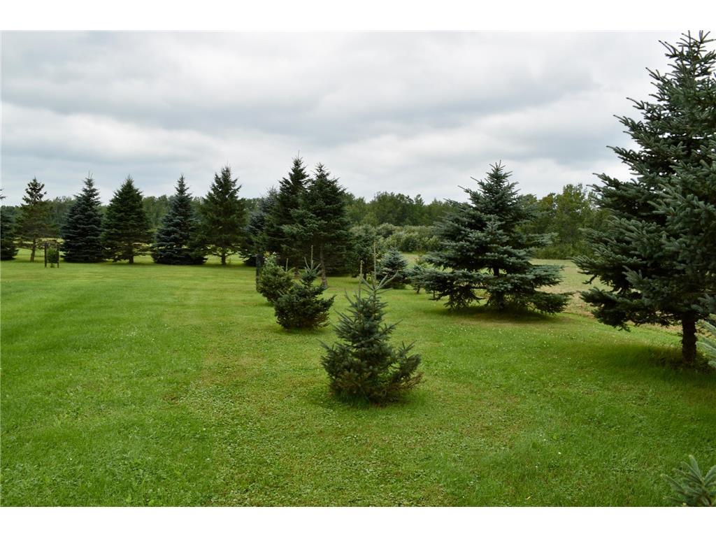 1610 Plum Street Grasston MN 55030 6770435 image53