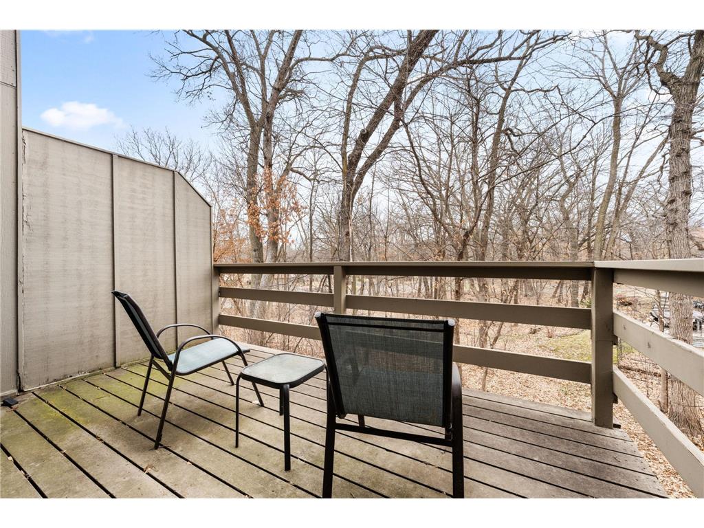 16102 18th Place N Plymouth MN 55447 7006925 image39