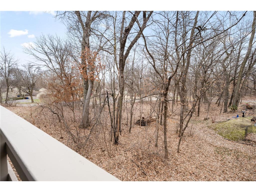 16102 18th Place N Plymouth MN 55447 7006925 image41