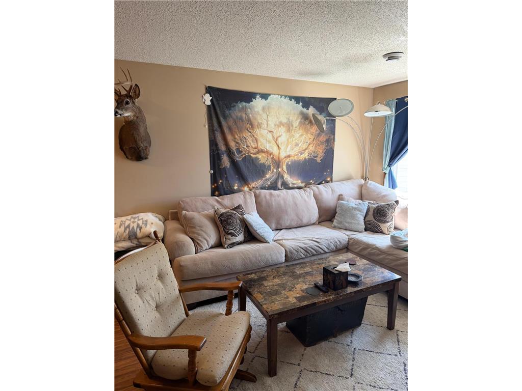 16106 71st Street NE Otsego MN 55330 7071744 image9