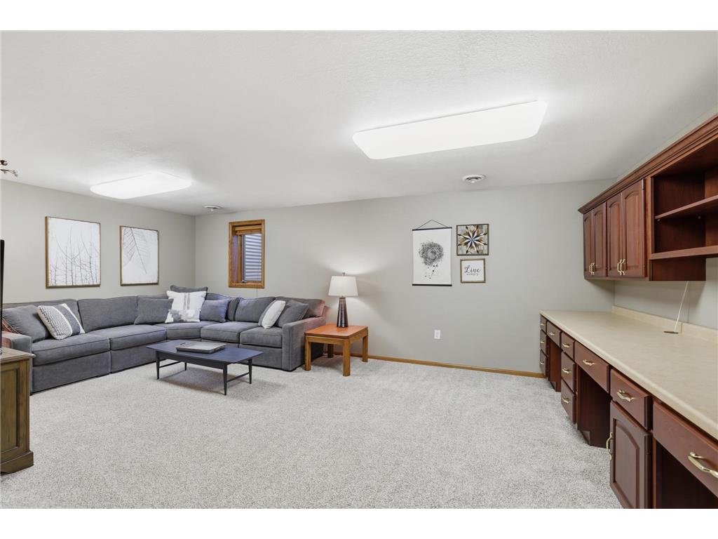 1611 Meadowview Trail Hastings MN 55033 7059869 image18