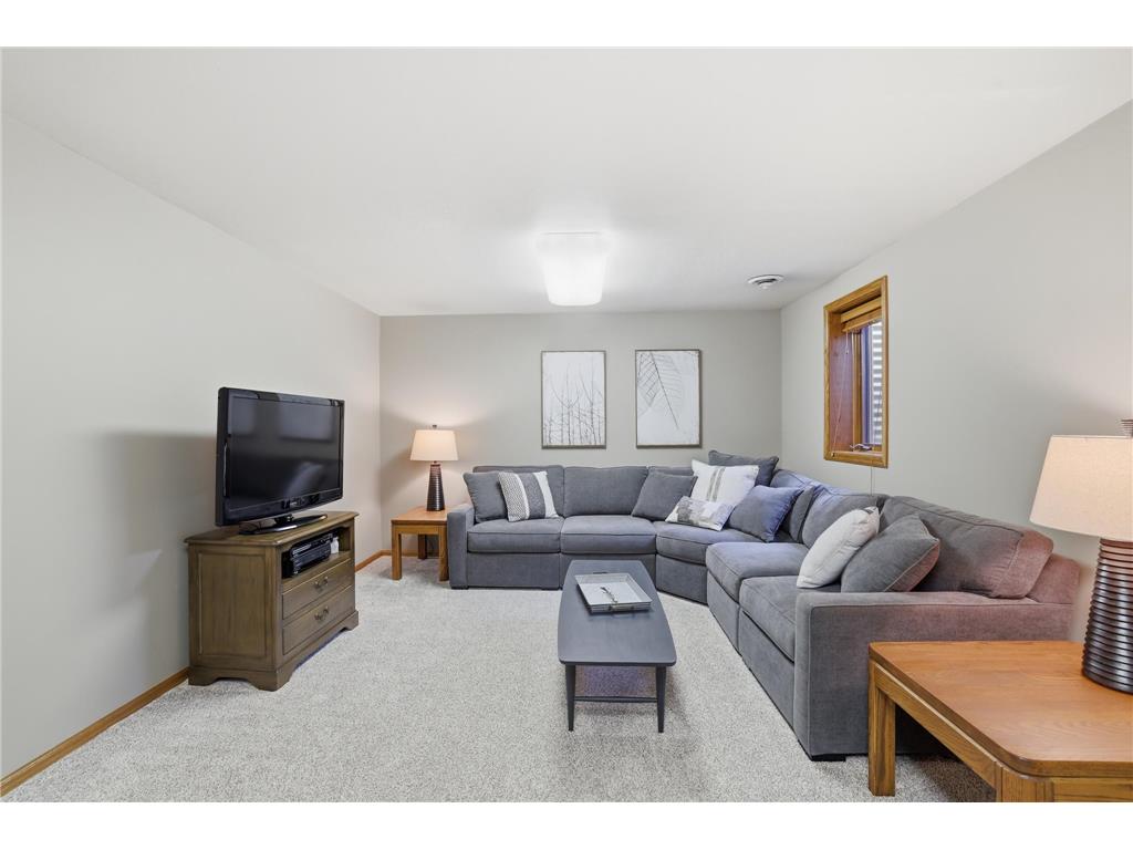 1611 Meadowview Trail Hastings MN 55033 7059869 image19