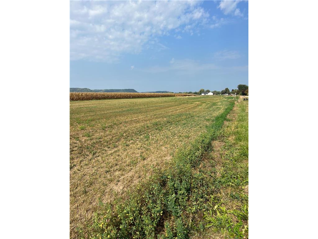 1612 River Drive S Wabasha MN 55981 6438000 image1