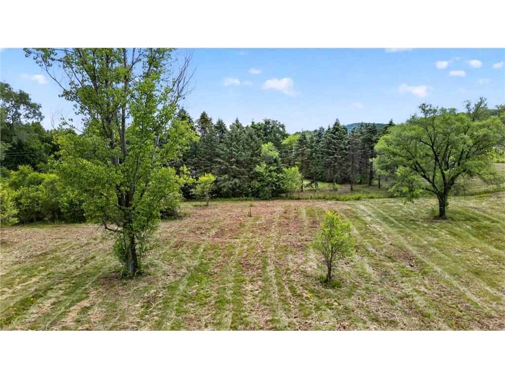 16122 627th Street Greenfield Twp MN 55945 7080701 image33