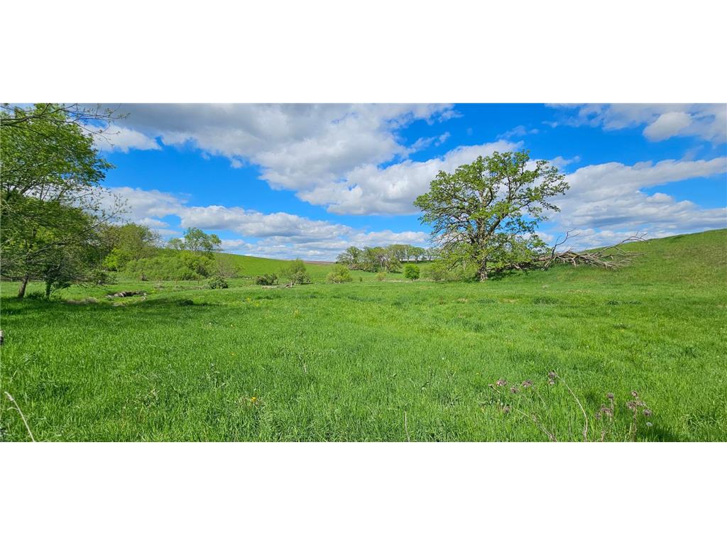 16128 331st Avenue Preston Twp MN 55939 6760183 image38