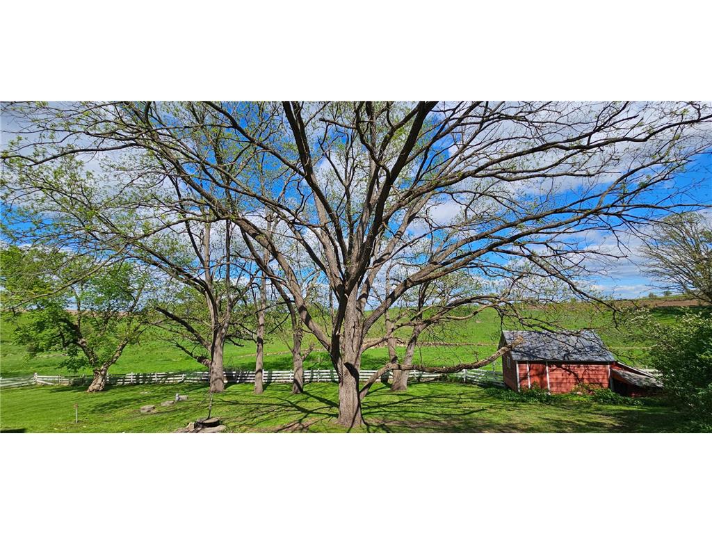 16128 331st Avenue Preston Twp MN 55939 - Root River - South Fork 7052756 image18