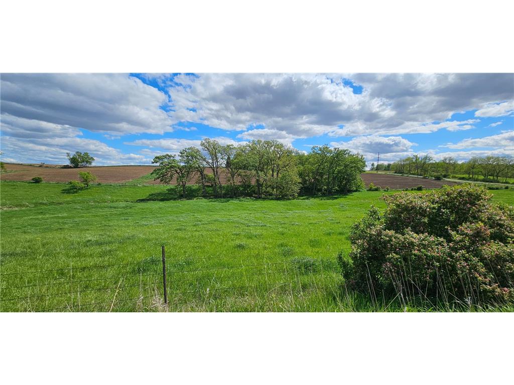 16128 331st Avenue Preston Twp MN 55939 - Root River - South Fork 7052756 image4