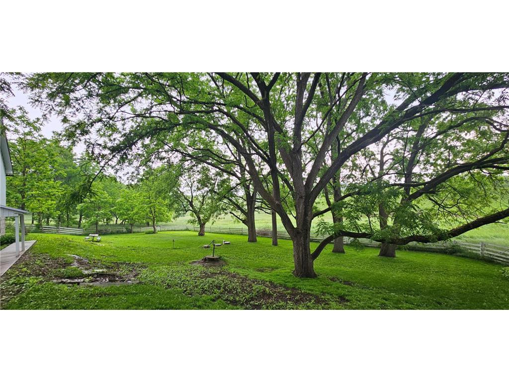 16128 331st Avenue Preston Twp MN 55939 - Root River - South Fork 7052756 image59