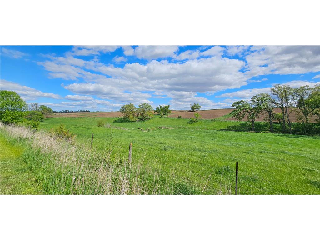 16128 331st Avenue Preston Twp MN 55939 - Root River - South Fork 7052756 image9