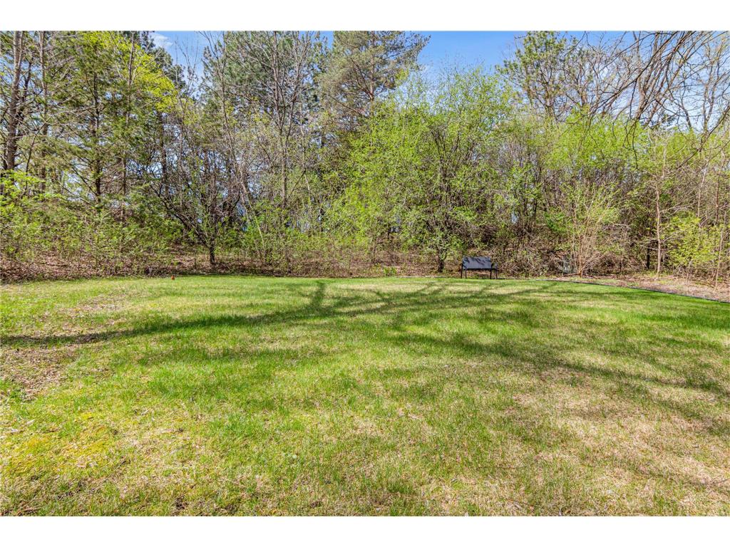 16135 15th Avenue N Plymouth MN 55447 7068647 image33