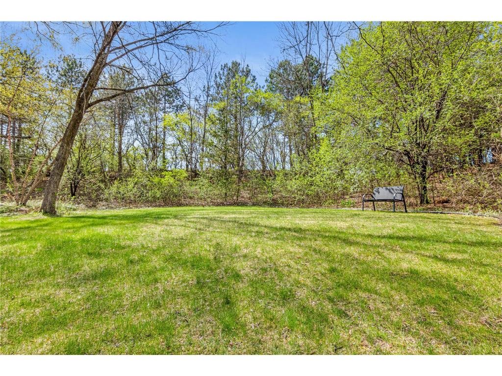 16135 15th Avenue N Plymouth MN 55447 7068647 image34