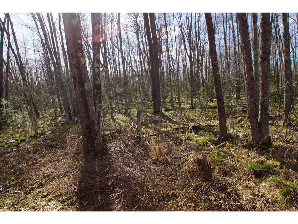 16137 W Hard Rock Circle Lenroot Twp WI 54843 - Nelson Lake 7064242 image40