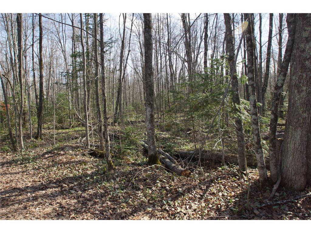 16137 W Hard Rock Circle Lenroot Twp WI 54843 - Nelson Lake 7064242 image7