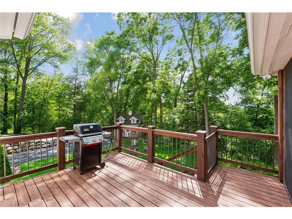 16140 46th Avenue N Plymouth MN 55446 7078644 image38