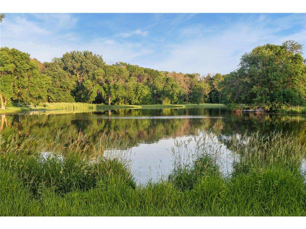 1615 Northridge Drive Medina MN 55391 7087275 image99