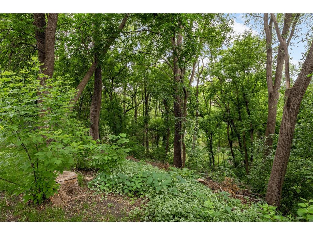 1616 Circle Drive Burnsville MN 55337 7069826 image26