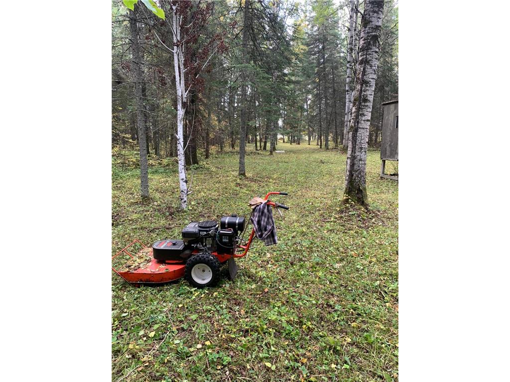 1616 Town Road 117 South Koochiching Unorg. Terr. MN 56623 - Rainy River 7076428 image23
