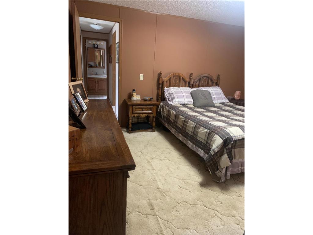 1616 Town Road 117 South Koochiching Unorg. Terr. MN 56623 - Rainy River 7076428 image6