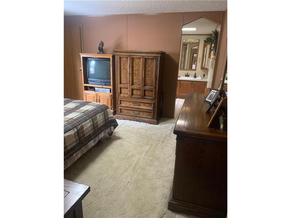 1616 Town Road 117 South Koochiching Unorg. Terr. MN 56623 - Rainy River 7076428 image7