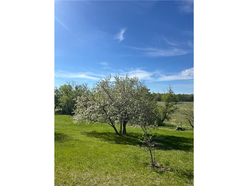 16166 510th Avenue Wolf Lake Twp MN 56464 7065265 image1