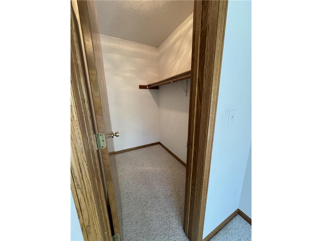 1617 Alvina Street Red Wing MN 55066 7062483 image28