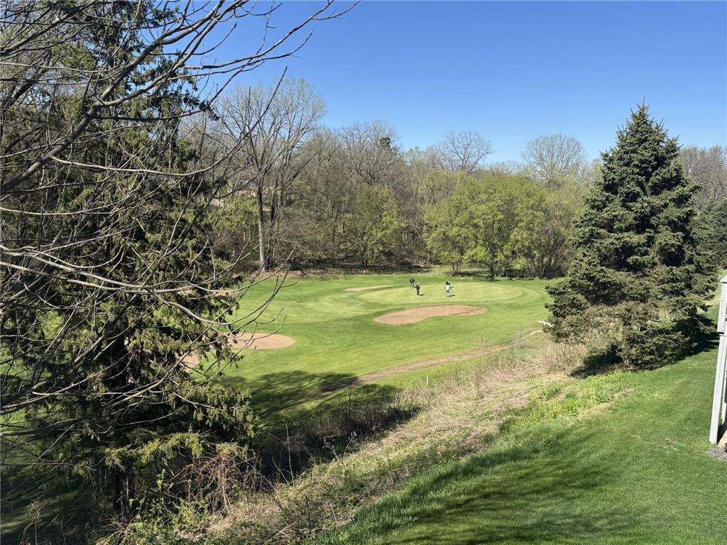 1617 Alvina Street Red Wing MN 55066 7062483 image34