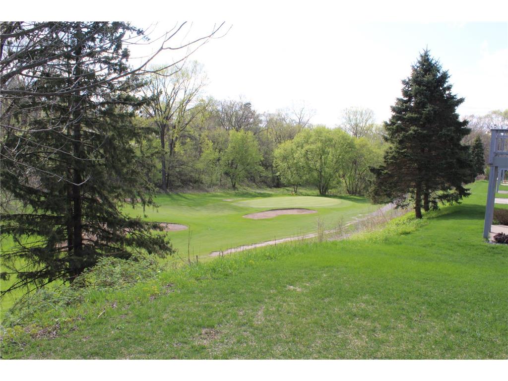 1617 Alvina Street Red Wing MN 55066 7062483 image35