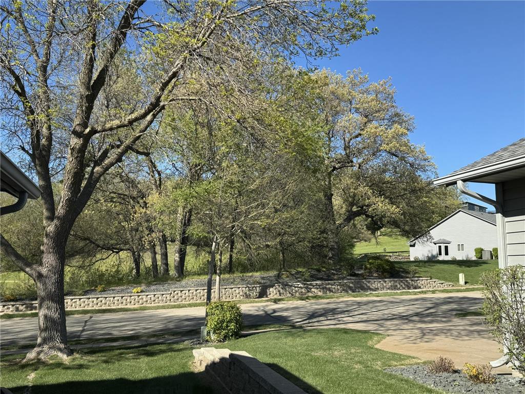 1617 Alvina Street Red Wing MN 55066 7062483 image39