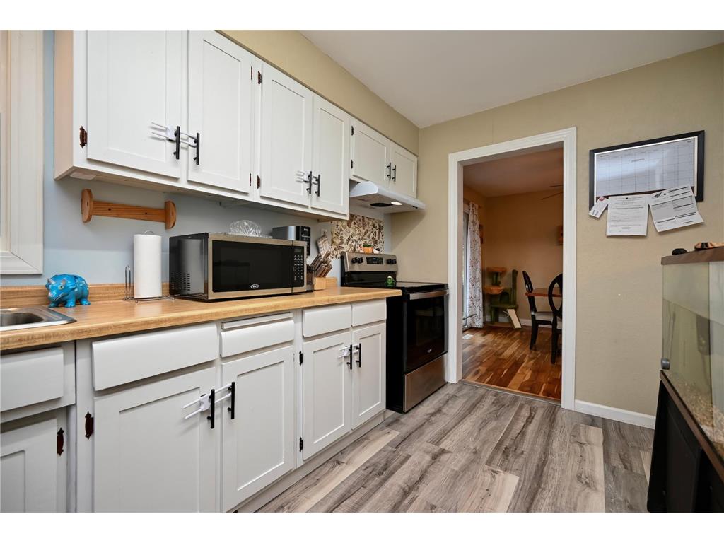 1617 Poplar Drive Red Wing MN 55066 7048315 image8