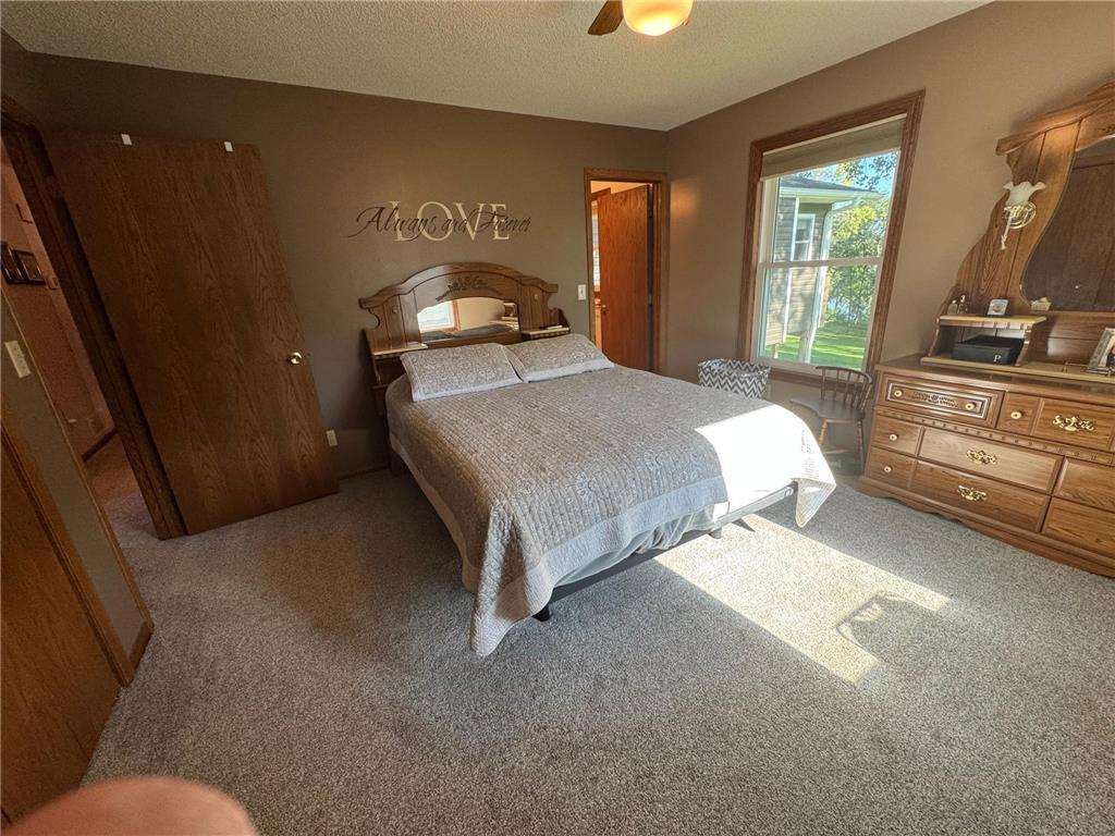 1617 South Shore Drive Albert Lea MN 56007 - Albert Lea Lake 6776334 image17