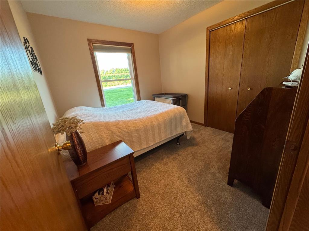 1617 South Shore Drive Albert Lea MN 56007 - Albert Lea Lake 6776334 image20