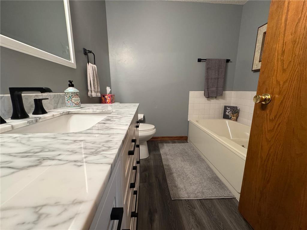 1617 South Shore Drive Albert Lea MN 56007 - Albert Lea Lake 6776334 image24