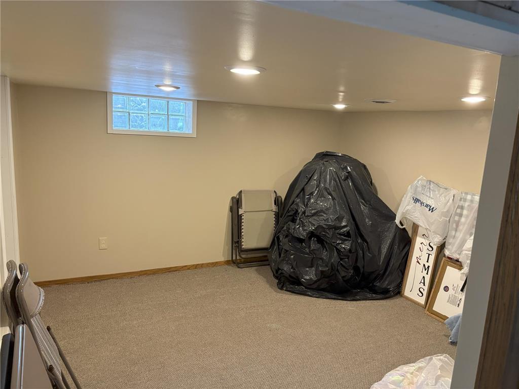 1617 South Shore Drive Albert Lea MN 56007 - Albert Lea Lake 6776334 image26