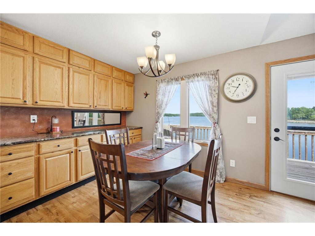 16170 Maple Ridge Road Audubon MN 56511 - Little Cormorant 7086234 image12