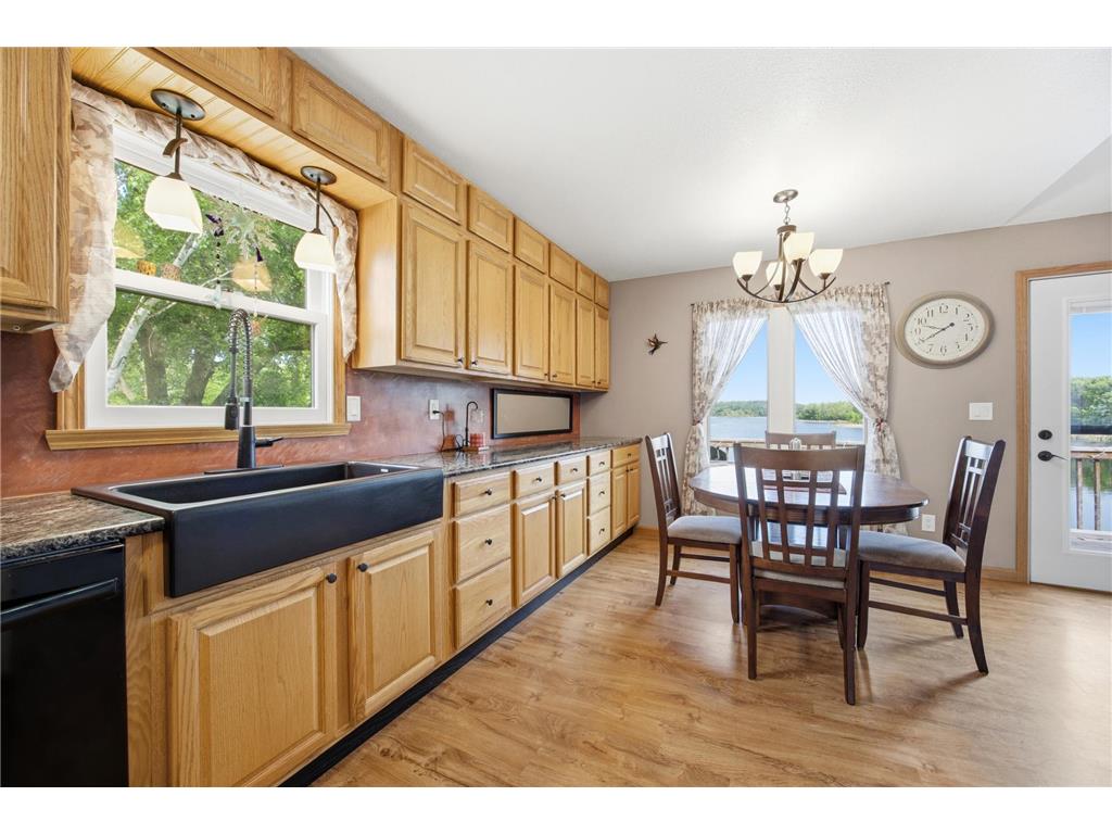 16170 Maple Ridge Road Audubon MN 56511 - Little Cormorant 7086234 image14