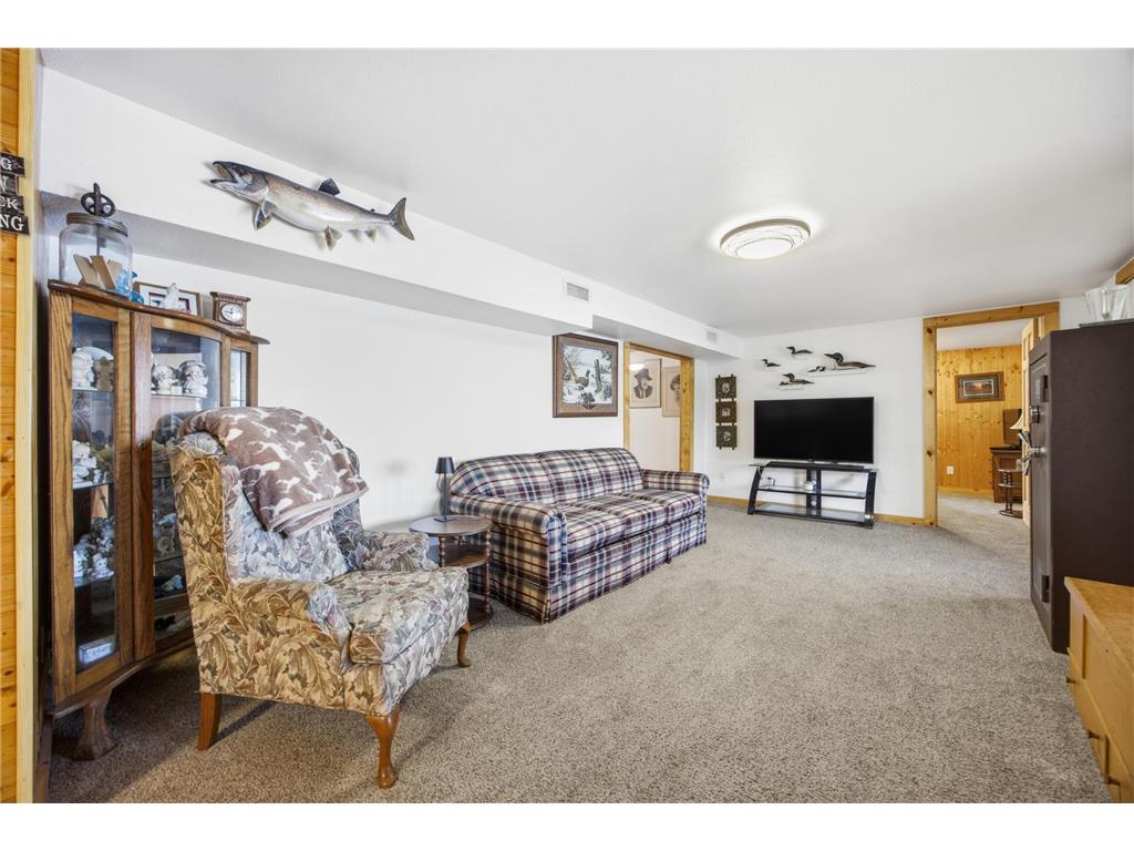 16170 Maple Ridge Road Audubon MN 56511 - Little Cormorant 7086234 image20