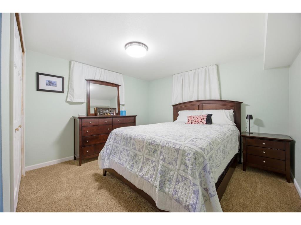 16170 Maple Ridge Road Audubon MN 56511 - Little Cormorant 7086234 image22