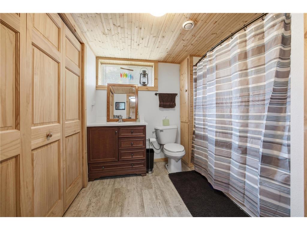 16170 Maple Ridge Road Audubon MN 56511 - Little Cormorant 7086234 image24