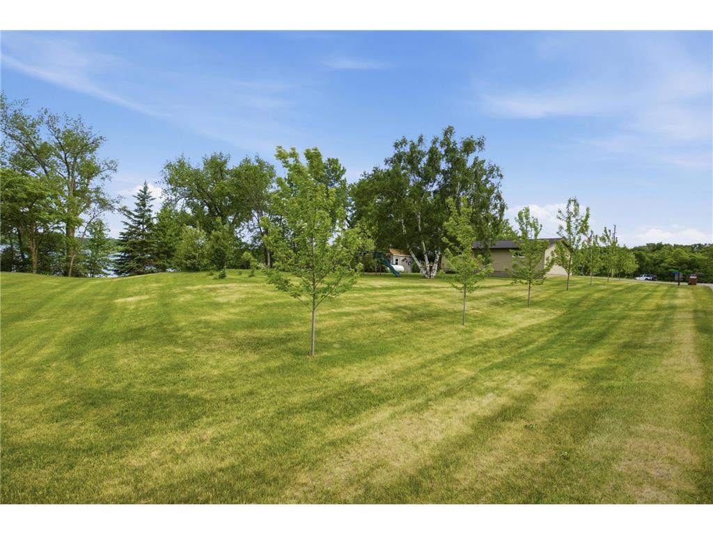 16170 Maple Ridge Road Audubon MN 56511 - Little Cormorant 7086234 image29