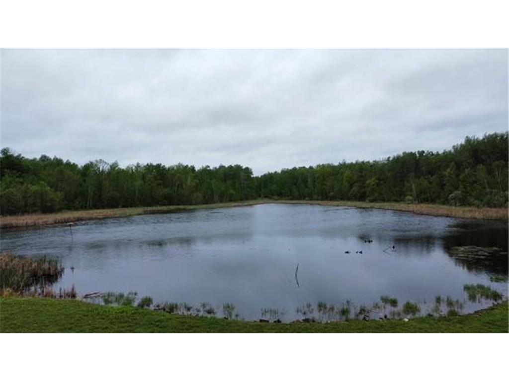 16183 165th Street NE Foley MN 56329 6722722 image7