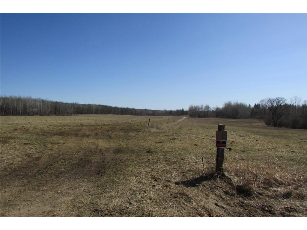 162 Acres 92nd Street SW Motley MN 56466 6357055 image1