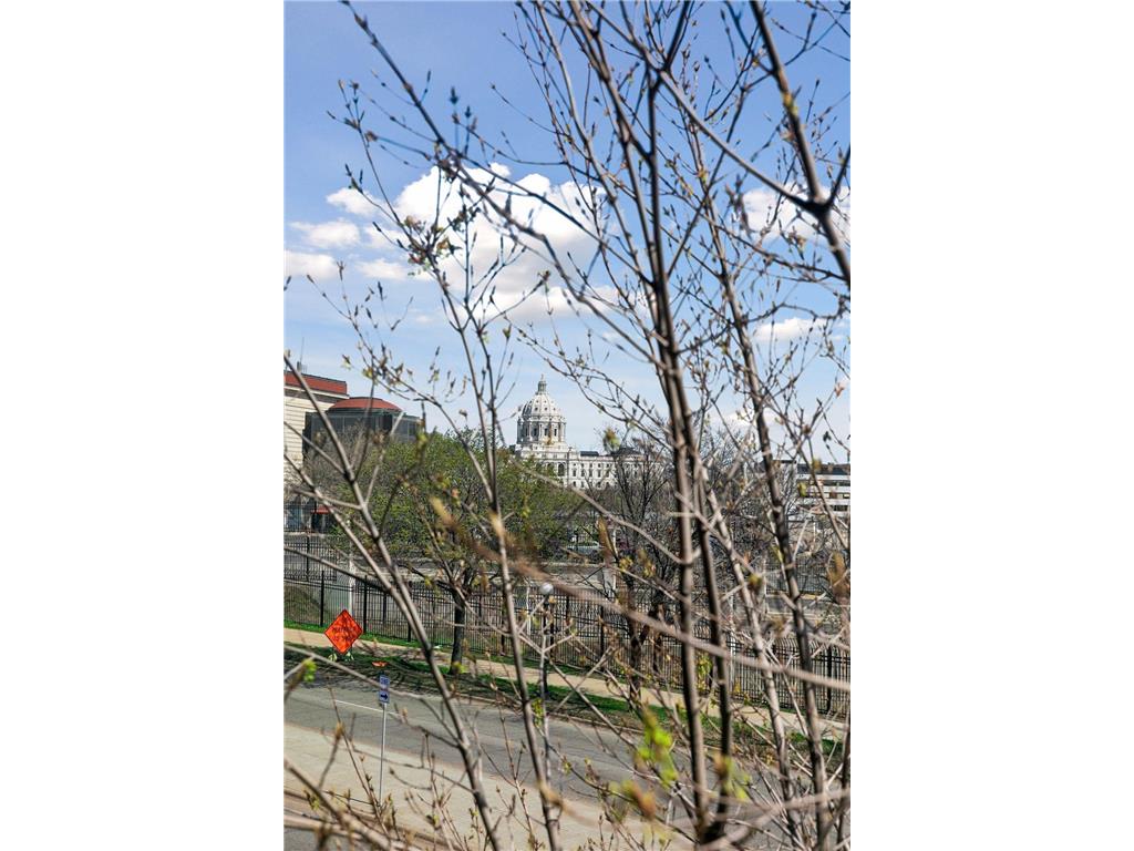 162 College Avenue W #5 Saint Paul MN 55102 7026801 image34