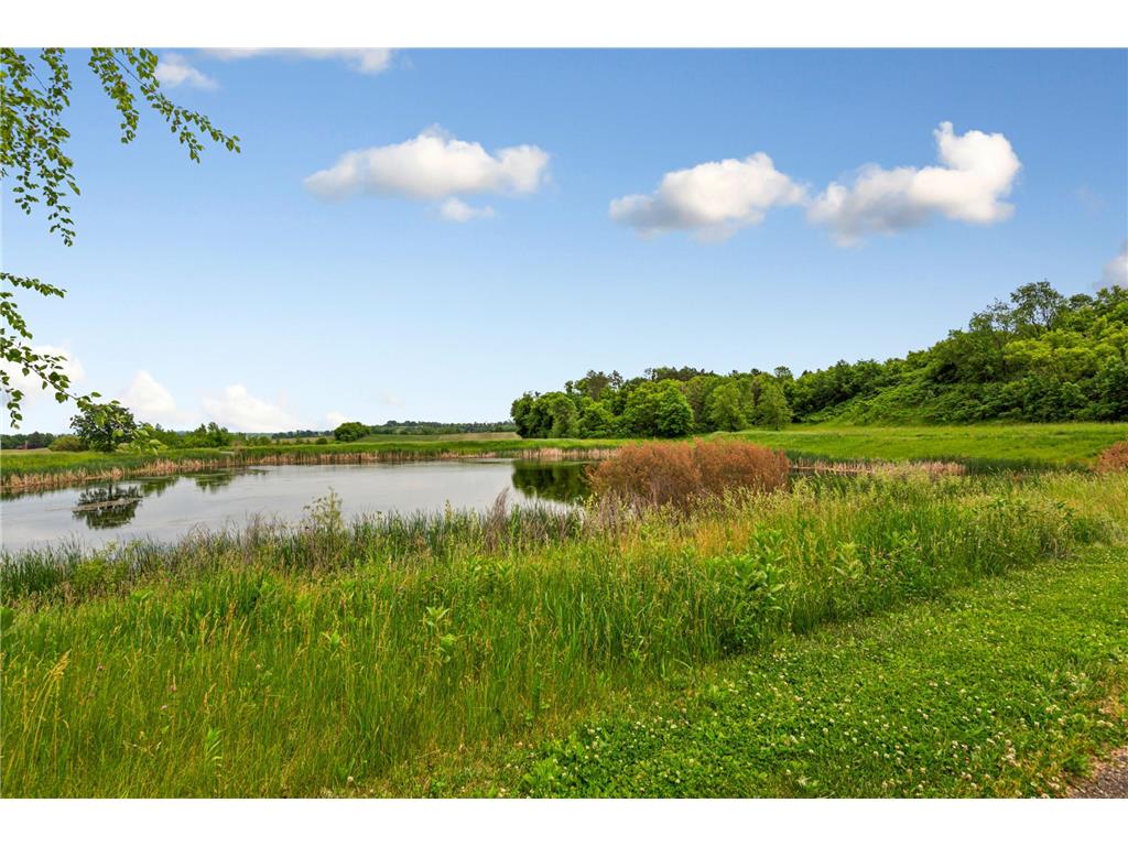 1620 Pinnacle Drive Dundas MN 55019 7071457 image10