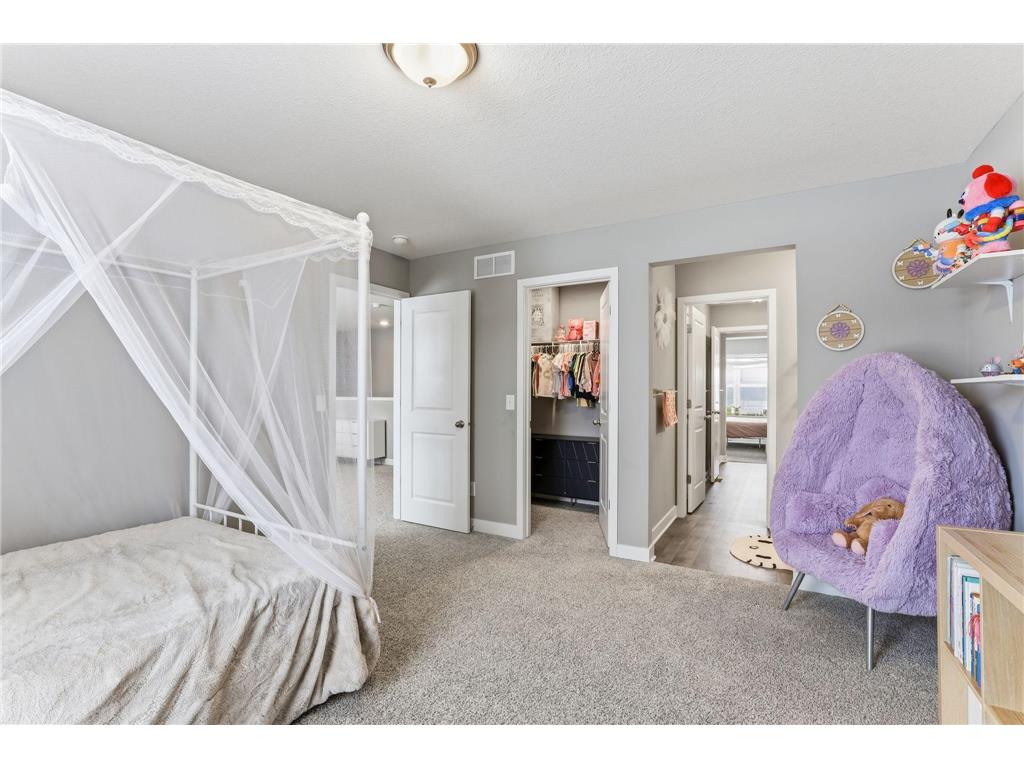 16206 Europa Avenue N Hugo MN 55038 7062806 image20