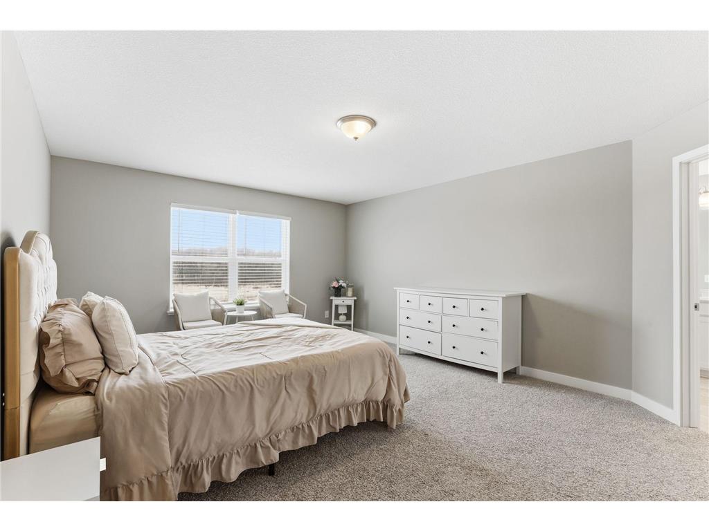 16206 Europa Avenue N Hugo MN 55038 7062806 image29