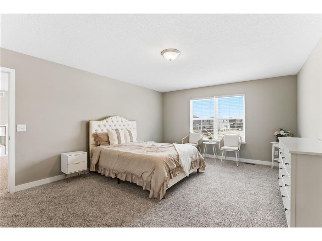 16206 Europa Avenue N Hugo MN 55038 7062806 image37