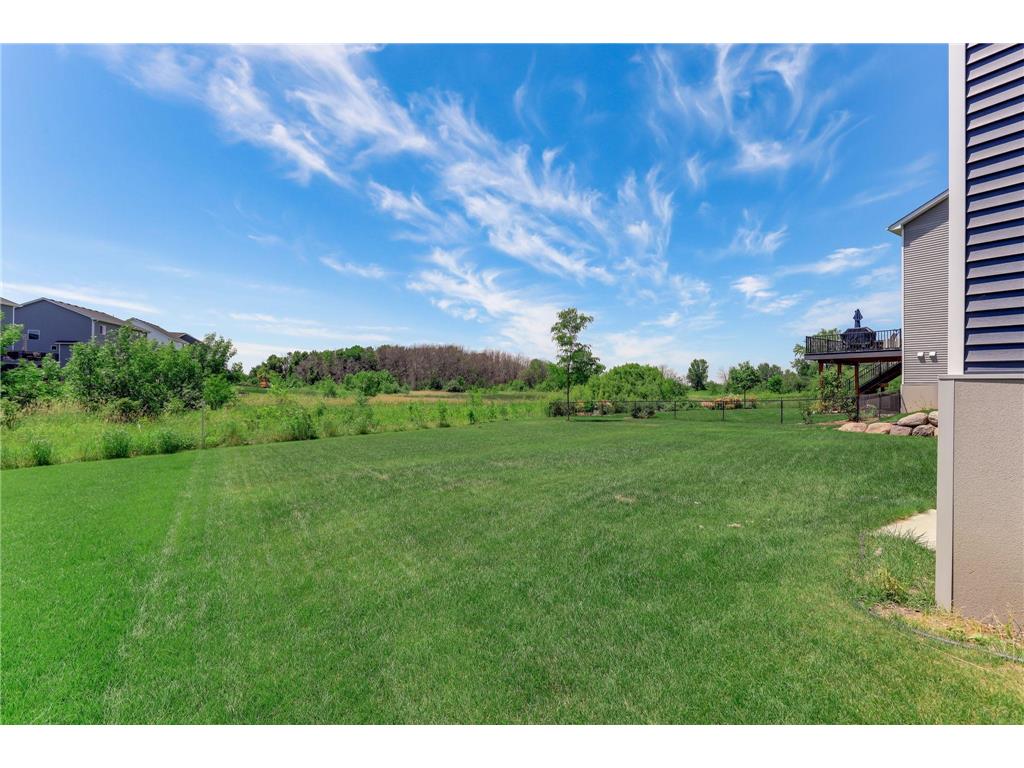 16206 Europa Avenue N Hugo MN 55038 7108359 image51