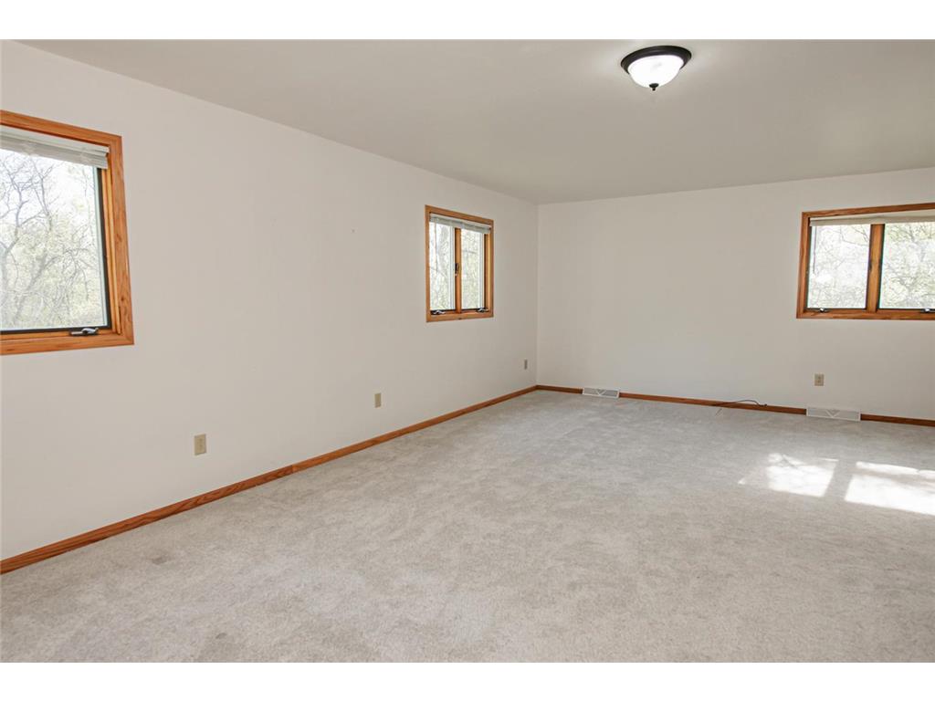 16208 Denzer Road Rollingstone Twp MN 55959 7064587 image11